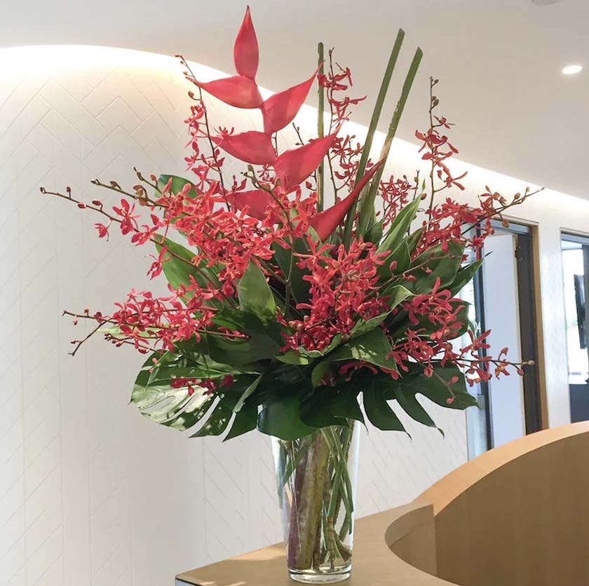 sydney-office-flowers